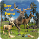 Deer of the Forest Download on Windows