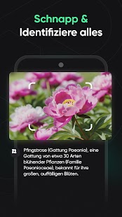RoboAI – Chat & Fragen Screenshot