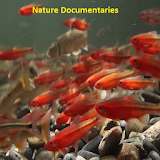 Nature Documentaries icon