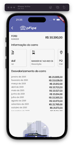pFipe Screen 2