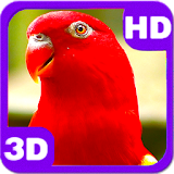 Wonderful Red Parrot Chatter icon