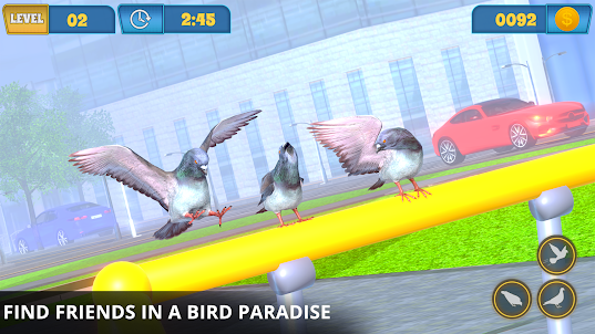 Flying Pigeon Bird simulator