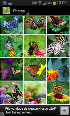 Butterfly Wallpapersのおすすめ画像4