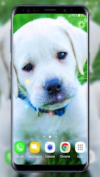 Puppies Live Wallpaper