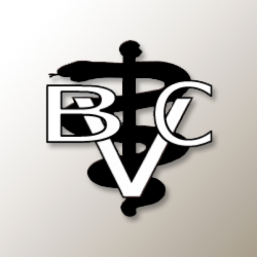 Bay City Vet and Equine