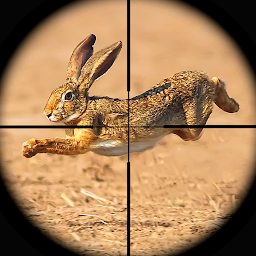 Icon image Rabbit Game Sniper Shooting