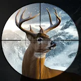 Wild Safari Deer shooting - Animal hunting Games icon