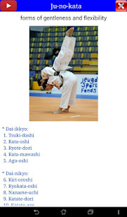 Judo in brief  Screenshots 11