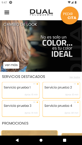 Dual Peluquería Screen 2