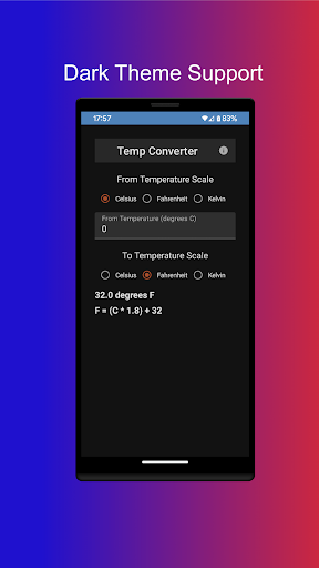 Temperature Converter Screen 3
