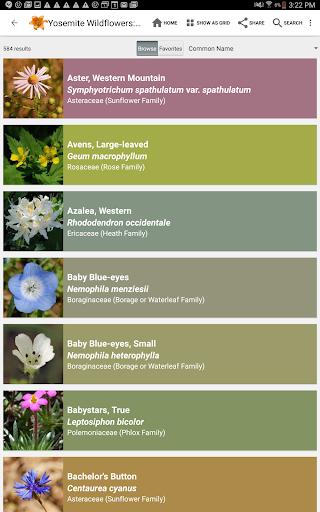 Screenshot of Yosemite Wildflowers