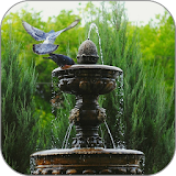 Fountain Jets Live Wallpaper icon
