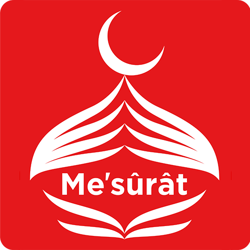 Mesurat logo