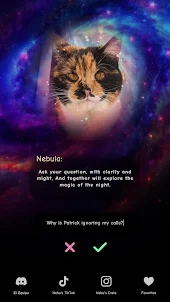 Nebula Tarot Cat