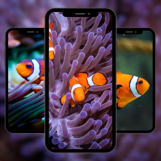 Wallpaper Nemo Fish