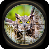 FPS Bird Hunter: Sniper Shooting Best Free Game icon