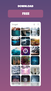 Insget – Instagram Downloader (PREMIUM) 3.10.2 1