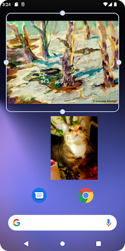 Web Image Widget Screen 2