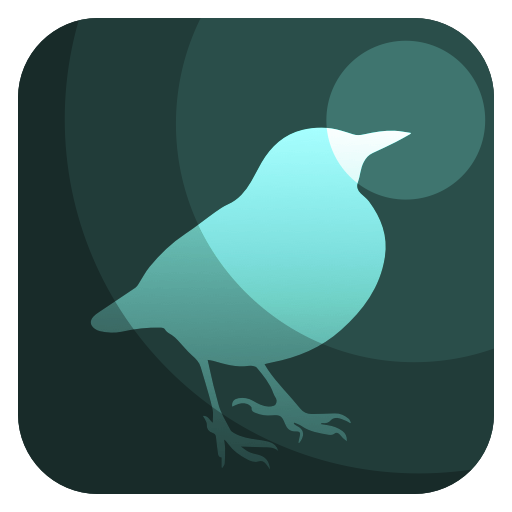 BIRD RADAR logo