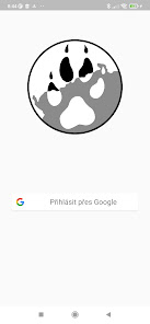 Screenshot image