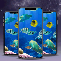 Fish Marine Biome Wallpaper