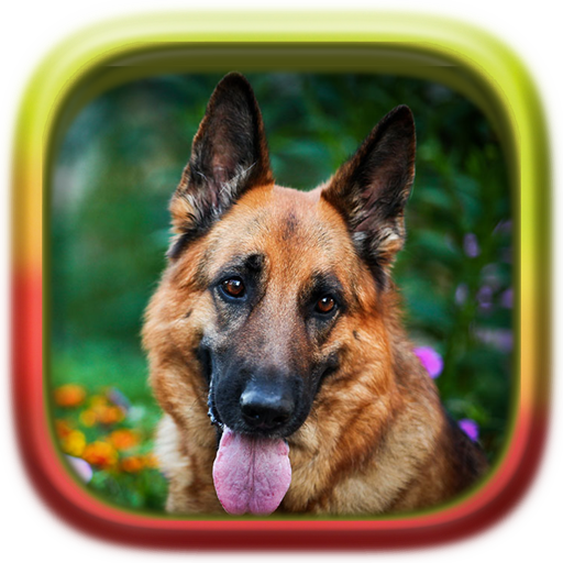 Picture Puzzle: German Shepher  Icon