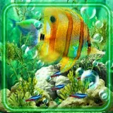 Aquarium Best icon
