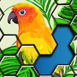 Cover Image of Télécharger Puzzles Hexa 2.3.2 APK