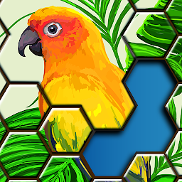 Jigsaw Puzzles Hexa Mod Apk