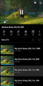 Video Download Player