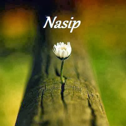 Nasip Sözleri logo
