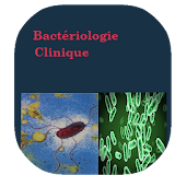 Bactériologie Clinique icon
