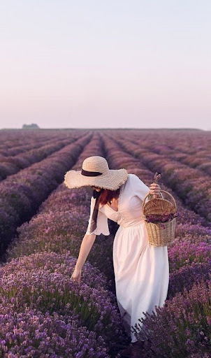 Purple Nature Wallpapers Screen 3