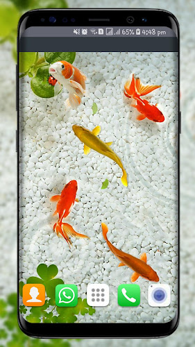 3d Wallpaper Live Fish Image Num 58