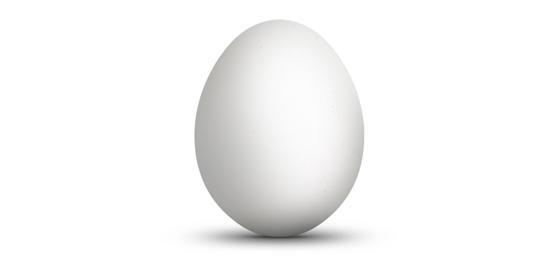 Pou Egg
