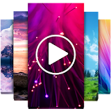 HD Video Wallpapers icon