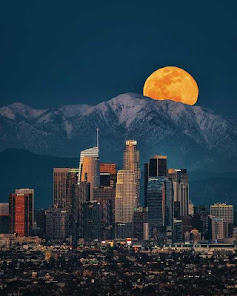 Screenshot 4 Los Angeles Wallpaper HD android