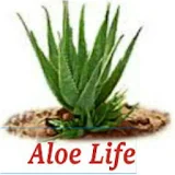 Aloe Life icon