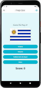 Guess Flags