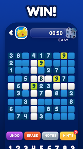 Classic Sudoku Number Puzzles