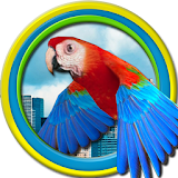 Flappy Parrot icon