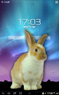 Bunny in Phone Cute joke For PC installation