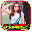 lagu Reggae Dangdut Jawa Offline Lengkap