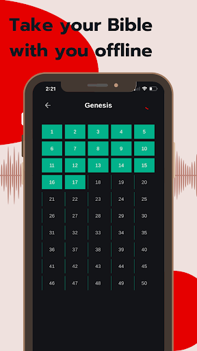 Bible - Audio & Video Bibles screenshot