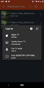 Xtreme Video Cast-Chromecast, Roku, DLNA, Smart TV 1.0.116 APK screenshots 3