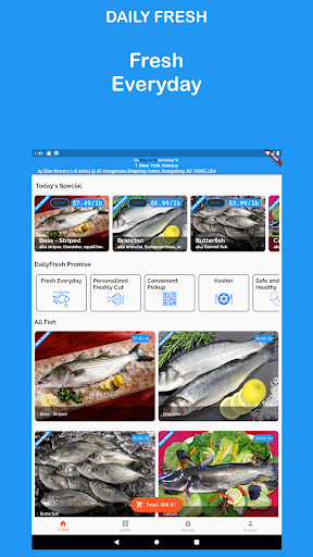 Daily Fresh - Fish Buy