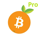 Orange Bitcoin Pro - Countdown BTC  Icon