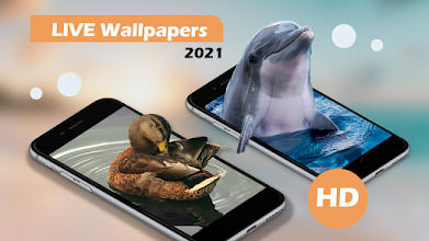 Themes For Samsung S21 Live Wallpaper Ringtones Apps On Google Play