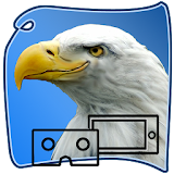 eagle SURVIVAL vr SIM icon