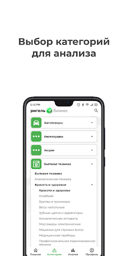 Ригель-Бизнес Screen 3